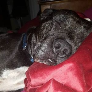 Meet your Posher, Theresa